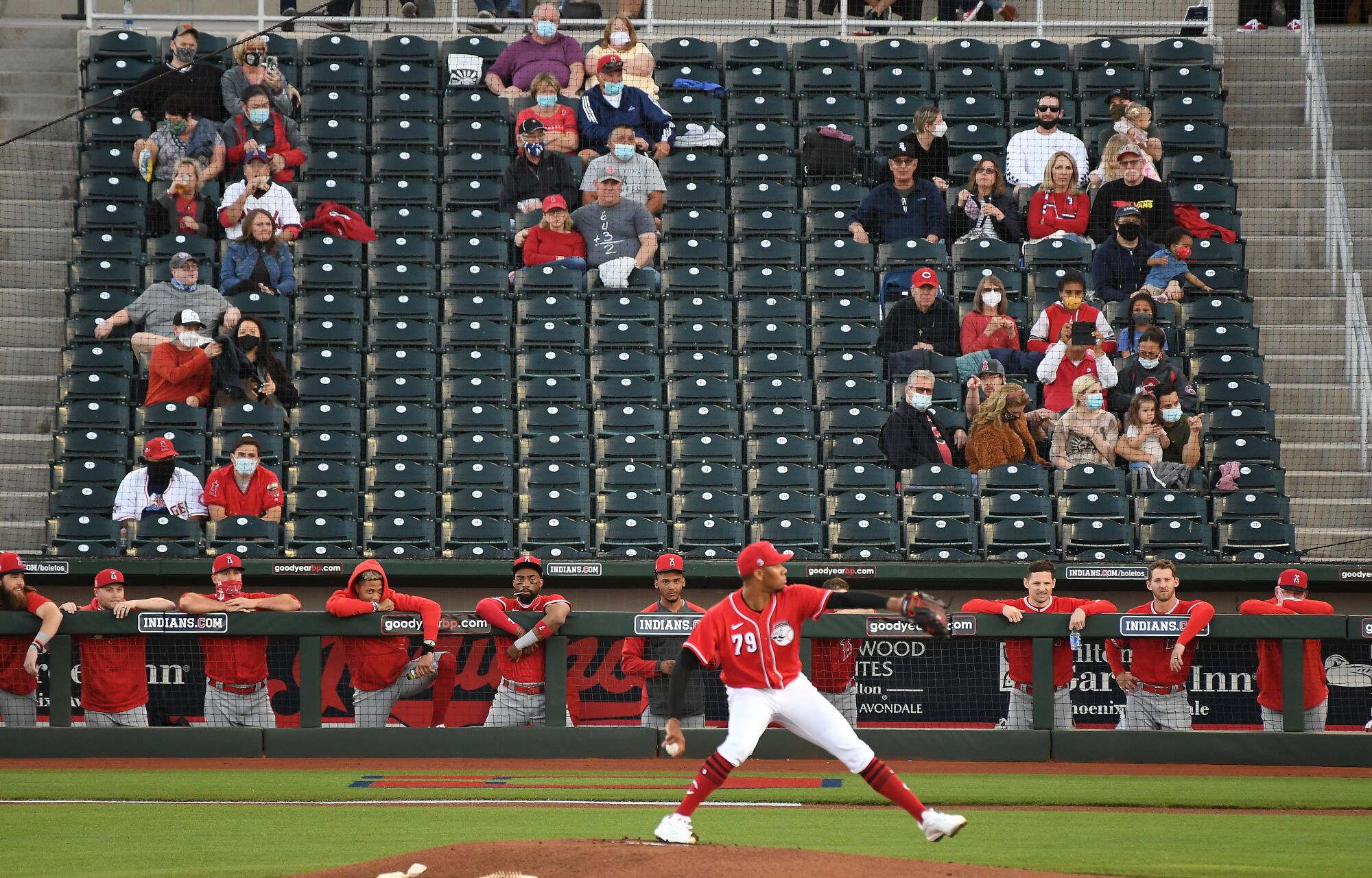 Fans and the Angels bench watch a Reds pitcher throw during Tuesday's game at spring training in Goodyear, Ariz.
