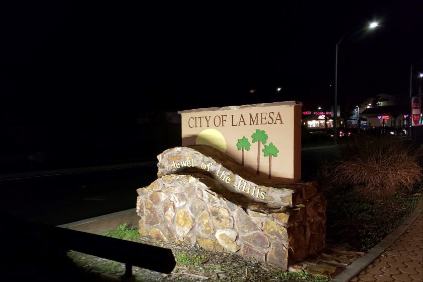La Mesa voters are looking to fill two City Council seats during the 2020 election.
