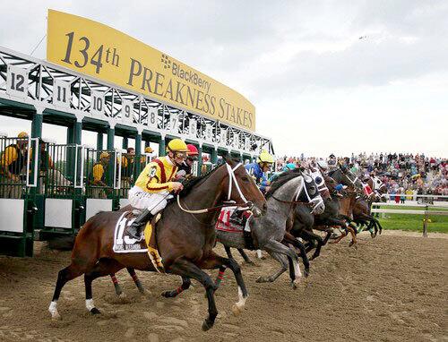 The field breaks from the gate for the 134th Preakness Stakes on Saturday at Pimlico Race Track. Rachel Alexandra would become the first horse to win the Preakness starting from the 13th post position.