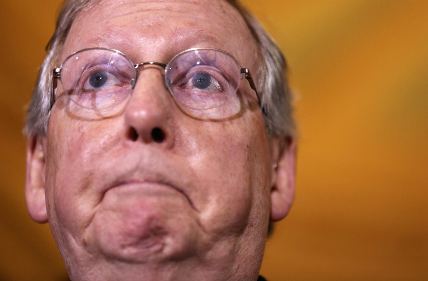 Mitch McConnell's primary challenge