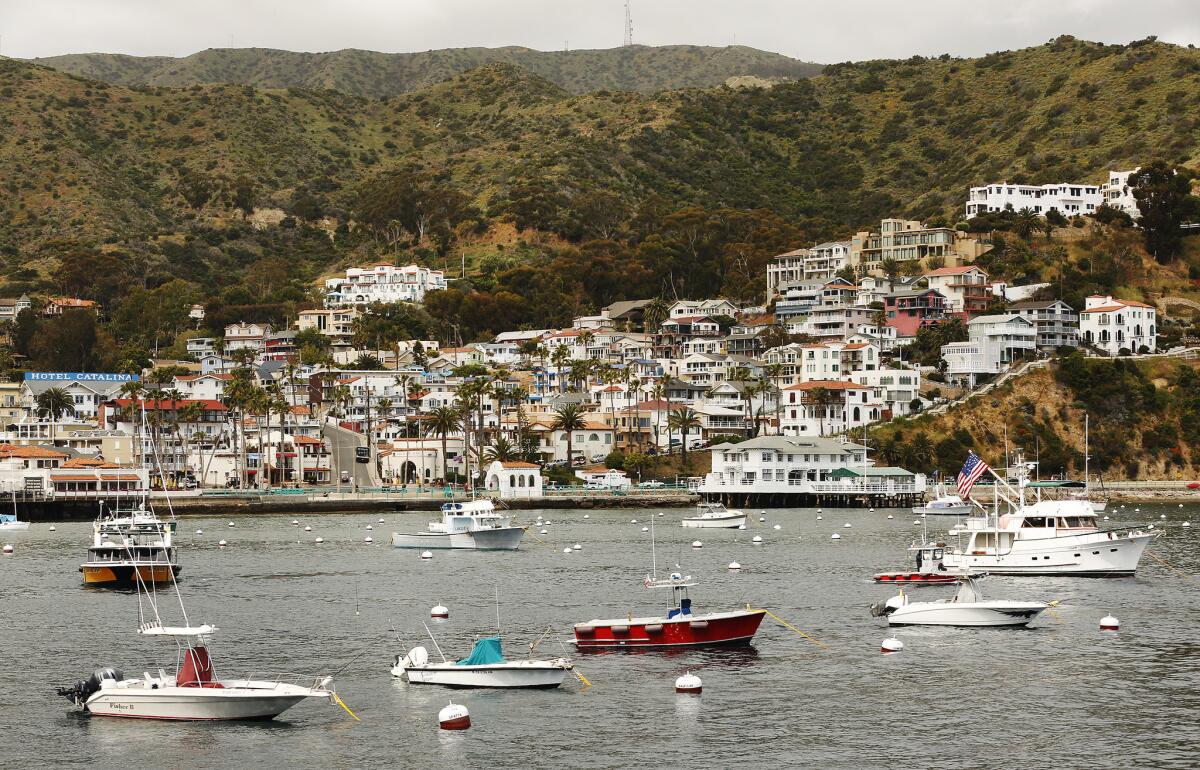 Prior to the opening of the Vons, many of the island’s roughly 4,000 residents had to travel “over town” — Avalonian-speak for the mainland — to buy many of their needs. (Al Seib / Los Angeles Times)