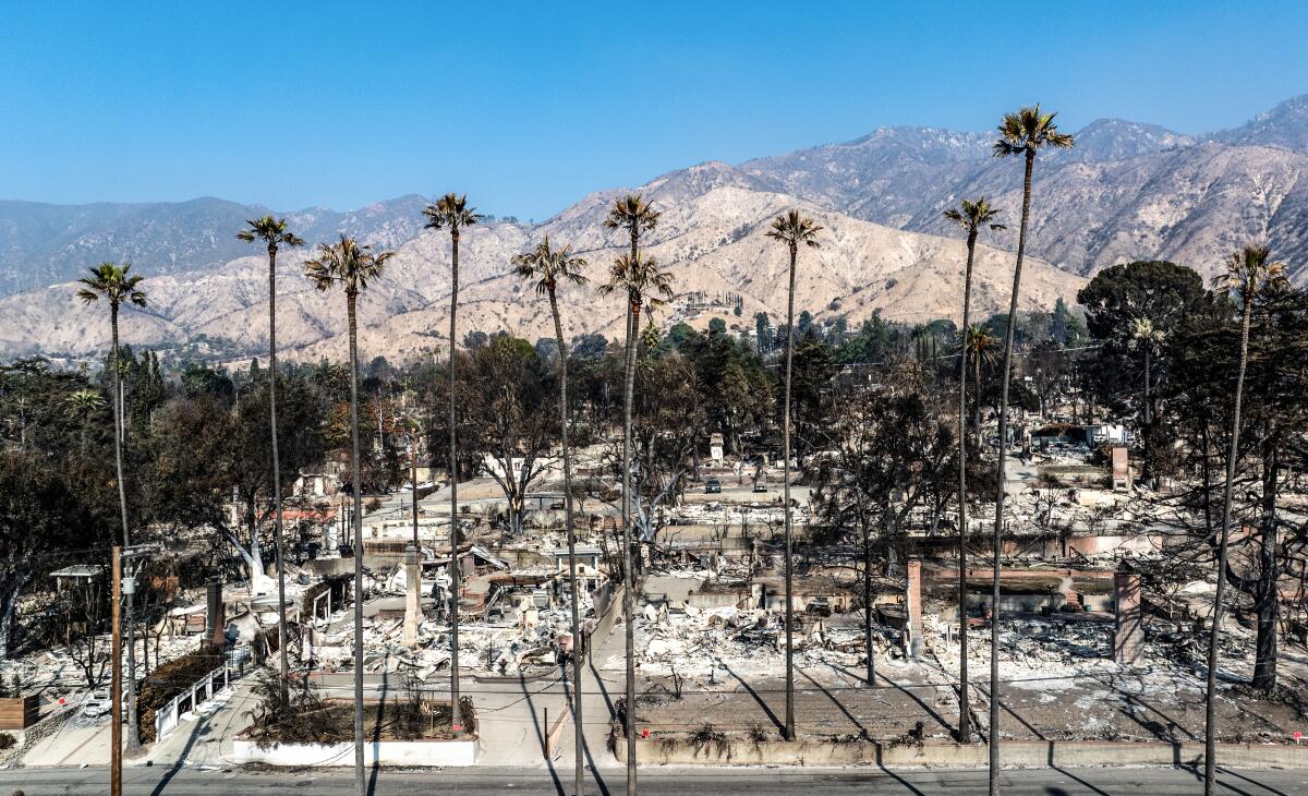 Entire blocks of homes in Altadena were destroyed by the Eaton fire.