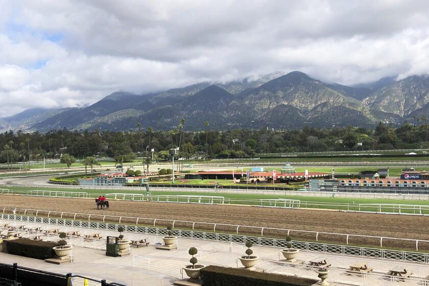 A few horses and riders are seen on the track while members of the California Horse Racing Board weigh new safety and medication rules in the wake of 22 horse deaths at Santa Anita Park, during a meeting at the track in Arcadia, Calif., Thursday, March 28, 2019. The board is considering whether to ban the use of medication and whips on racing days. If approved, Santa Anita would become the first racetrack in the nation to impose such restrictions. (AP Photo/Amanda Lee Myers)
