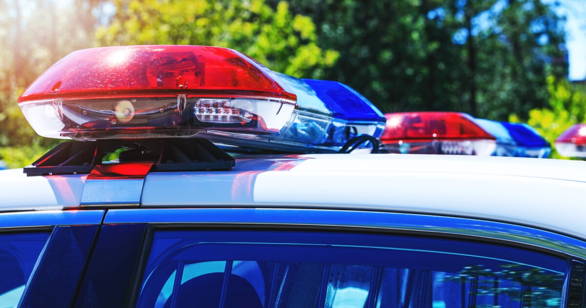 ?url=https%3A%2F%2Fcalifornia-times-brig