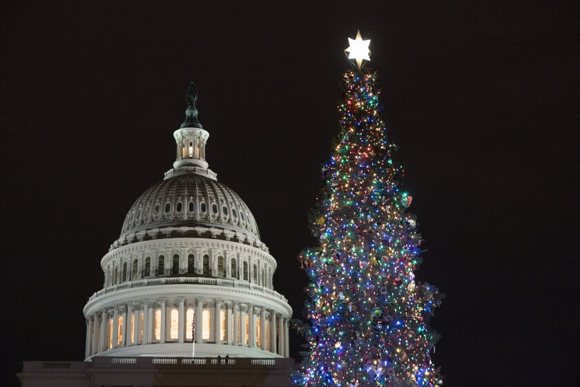 The 2021 U.S. Capitol Christmas Tree on the West Front Lawn of Capitol Hill in Washington.
