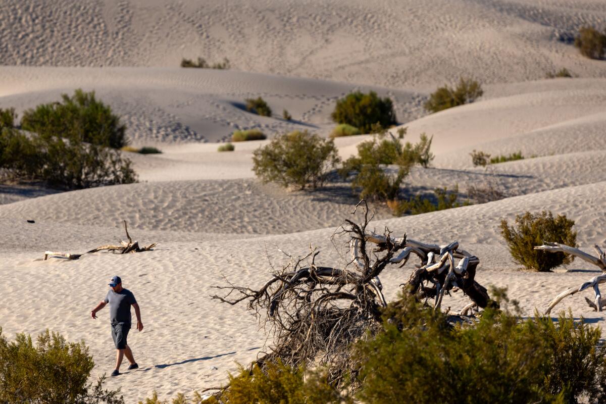 A man hikes across a desert landscape.