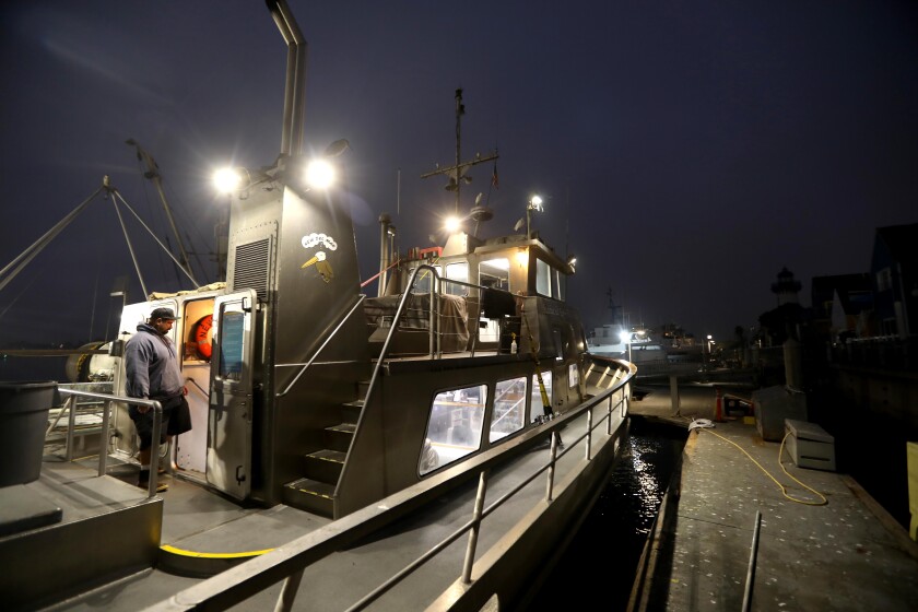 Un bateau de pêche sportive de nuit. 