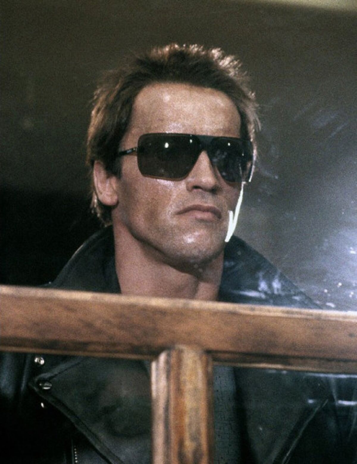 Arnold Schwarzenegger as the Terminator