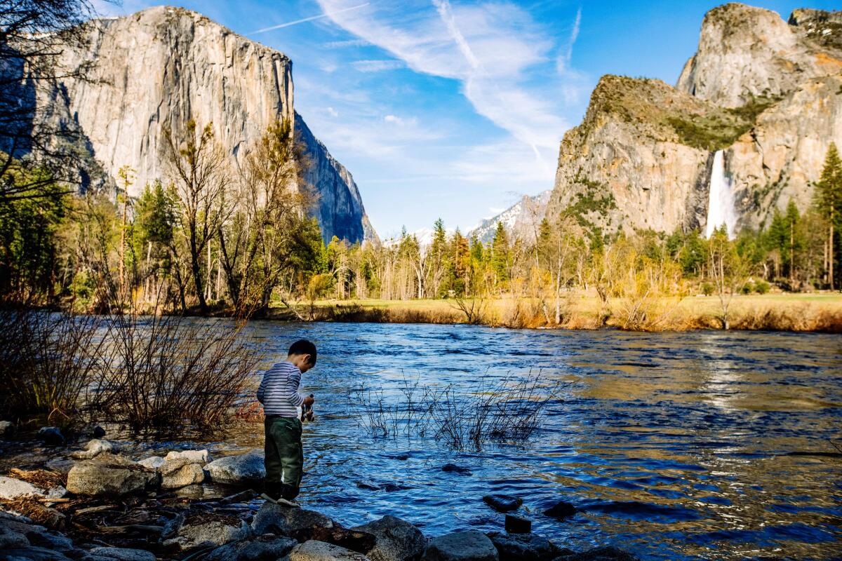 Amid budget chaos, more than 700 national parks employees take buyout - Los Angeles Times
