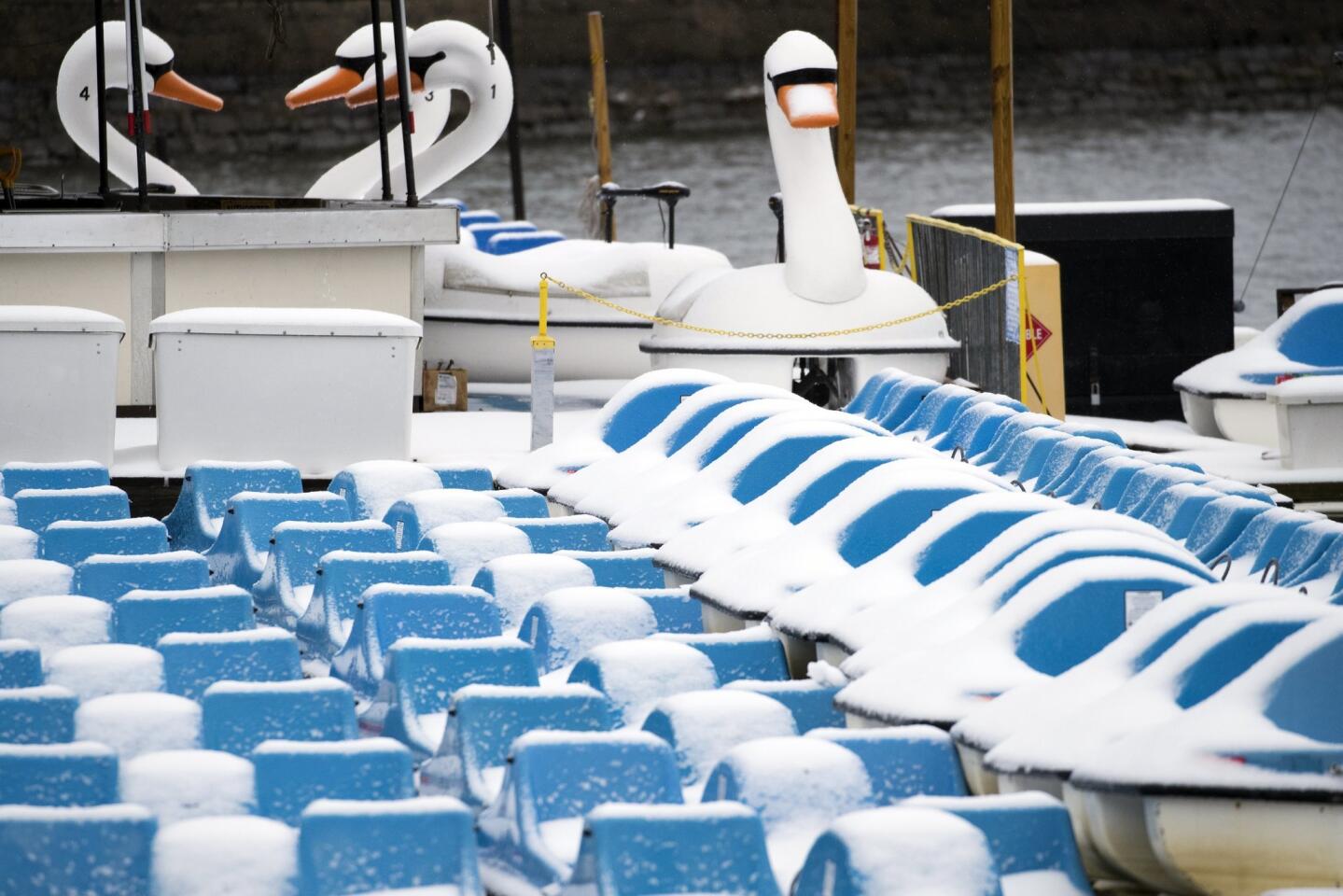 Winter storm blankets Northeast