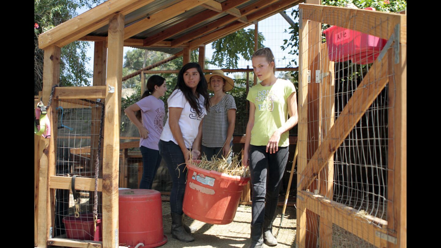 In addition to equine science and organic gardening, the girls care for goats and chickens at Taking the Reins in Atwater Village. The goat pen is one of eight structures built by Woodbury University architecture students over three semesters.