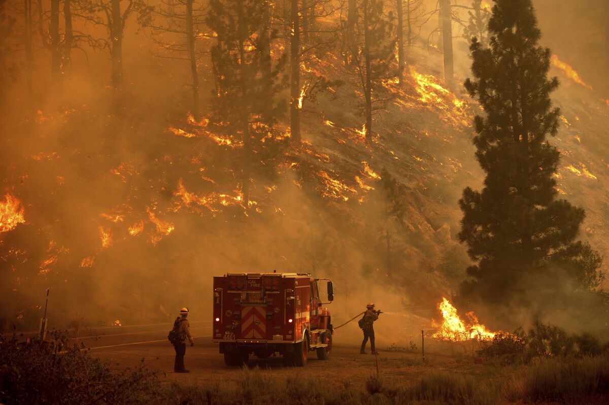 Two firefighters next to a fire truck battle a forest fire