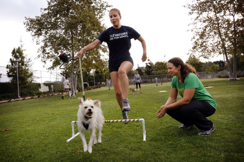 Feet & Paws Fitness instructor Tracy James, right, watches over student Jessica Simon and her pup, Bernie, as they exercise at Santa Monica Airport Park. The class is called New Paws on the Block.