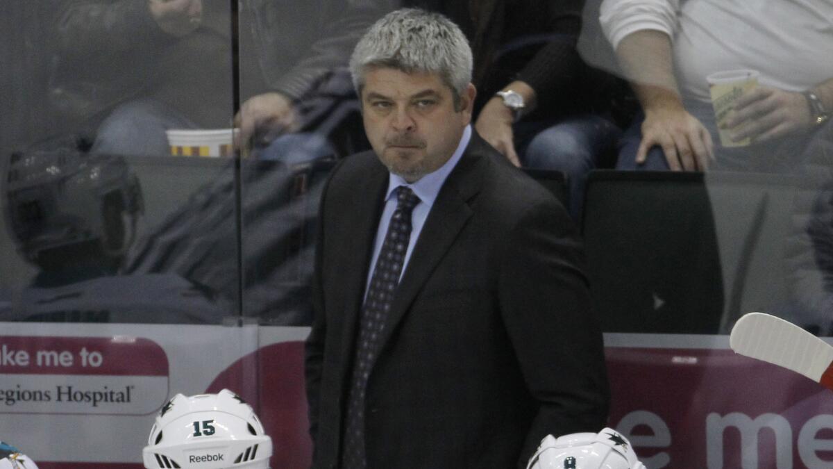 San Jose Sharks Coach Todd McLellan looks on during a game against the Minnesota Wild on Oct. 30.