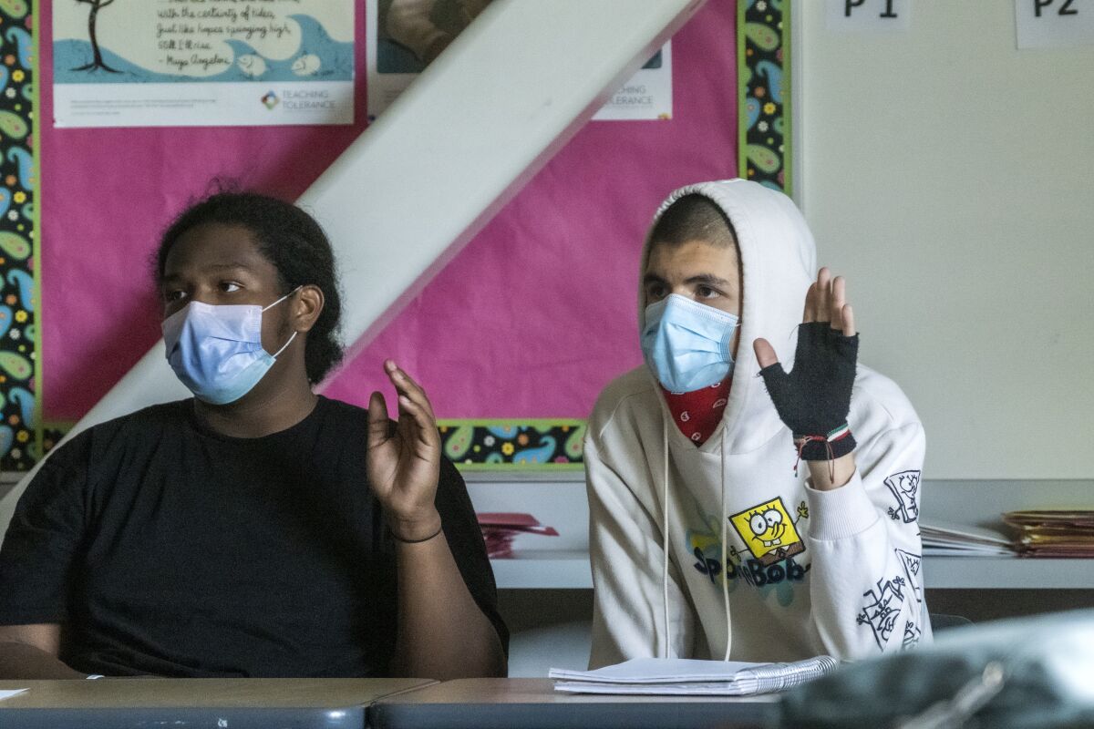 Two seated students raise their hands.