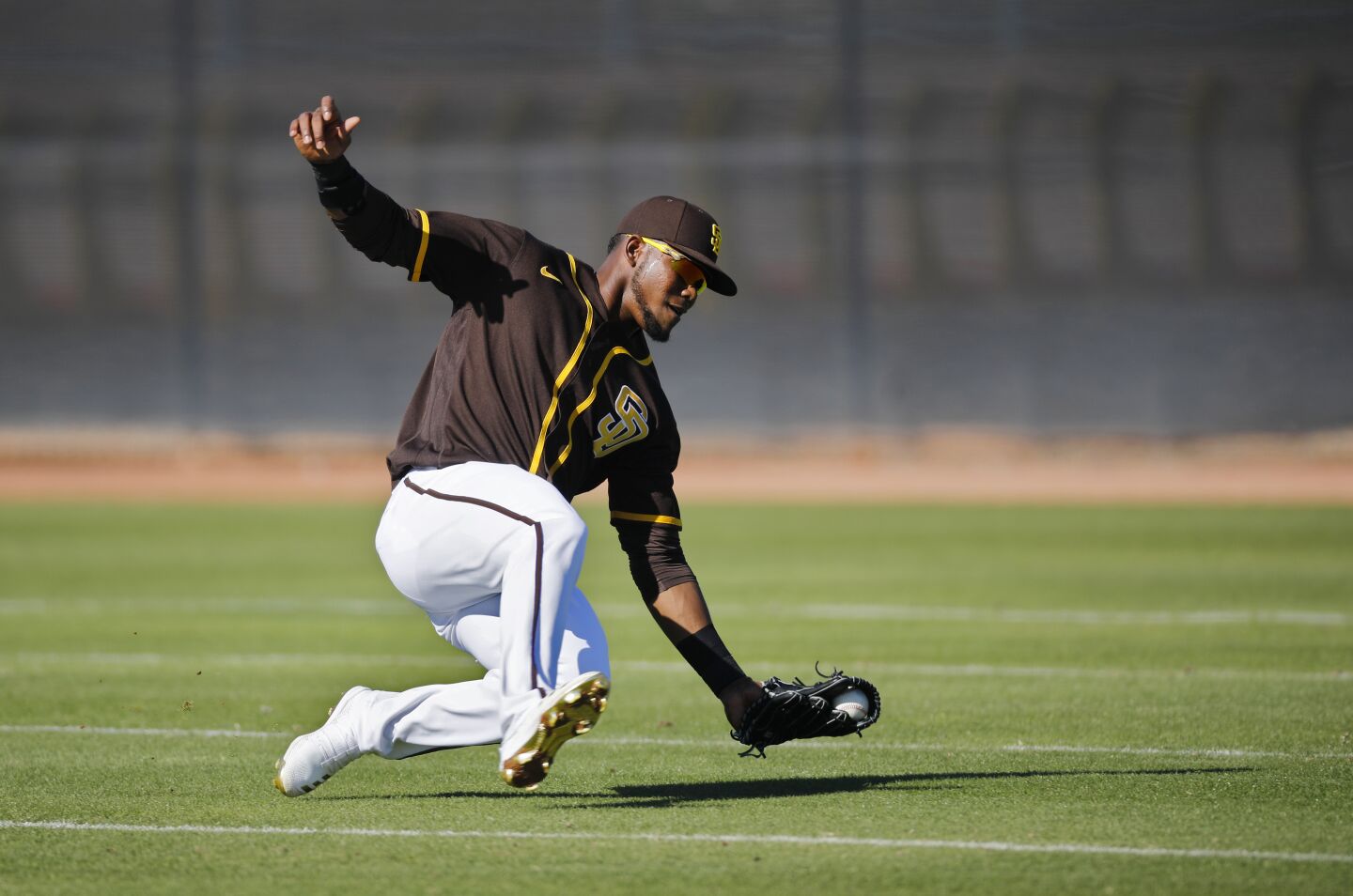 San Diego Padres Franchy Cordero catches a fly ball during a spring training practice on Feb. 20, 2020.