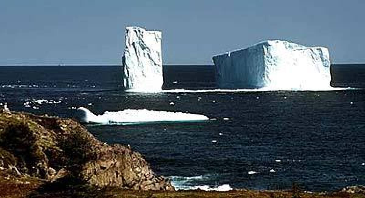 In Canada, the hiking trail runs by Cape Spear, the easternmost point of North America, where icebergs loom off the coast.