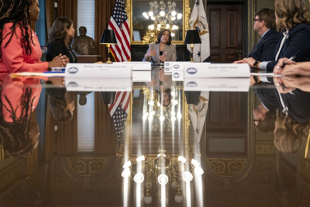 Vice President Kamala Harris speaking at the head of a table with lawmakers