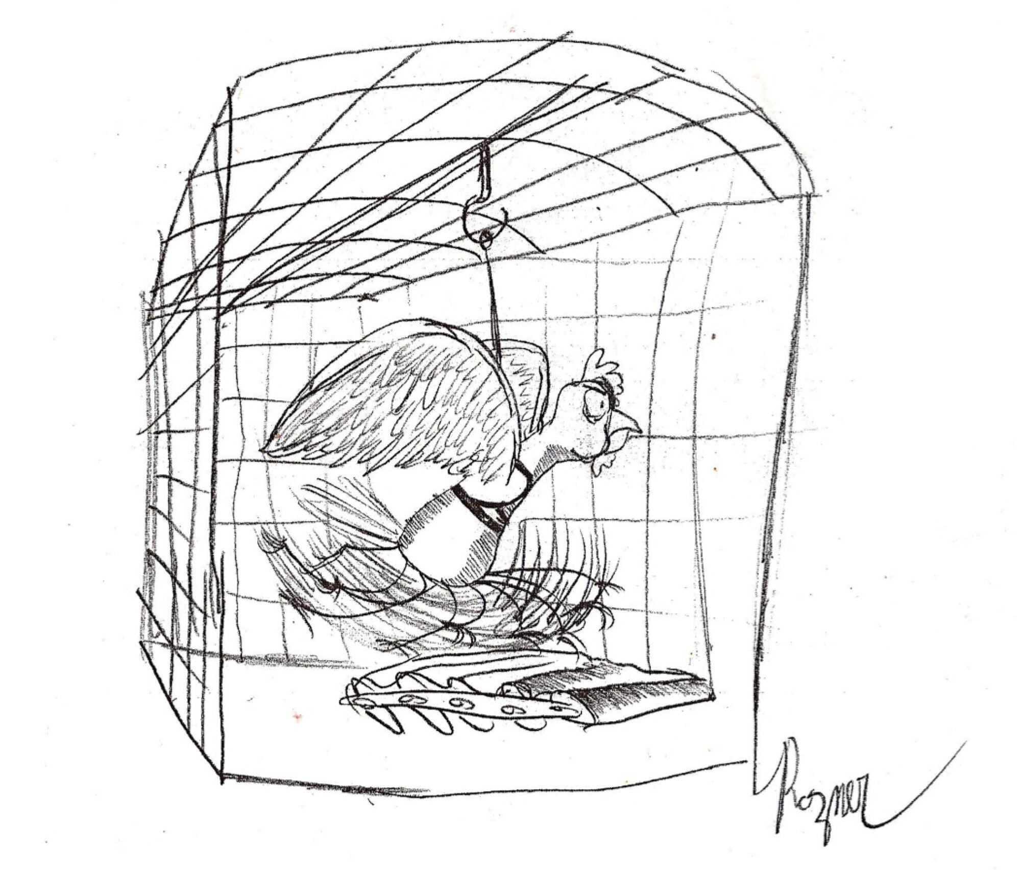 A black and white drawing of a bird sprinting on treadmill rollers in a cage