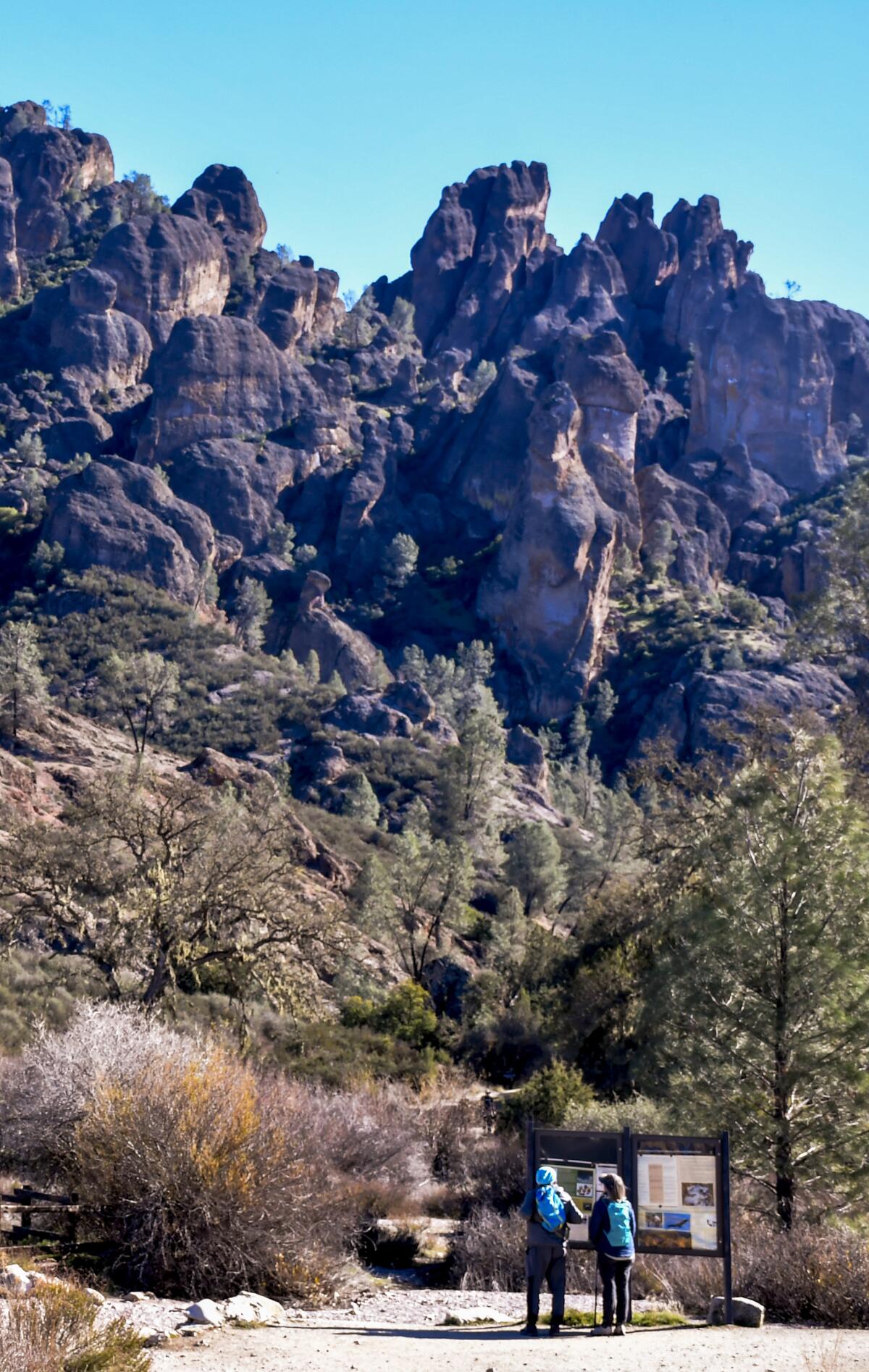 Hikers on a trail looking at a map.