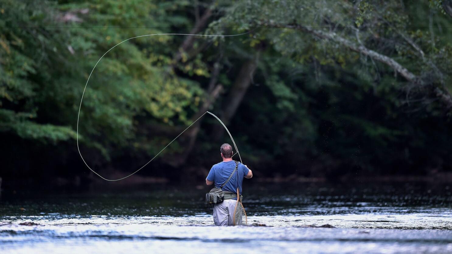 Orvis on LinkedIn: Fly Fishing Reports & Conditions