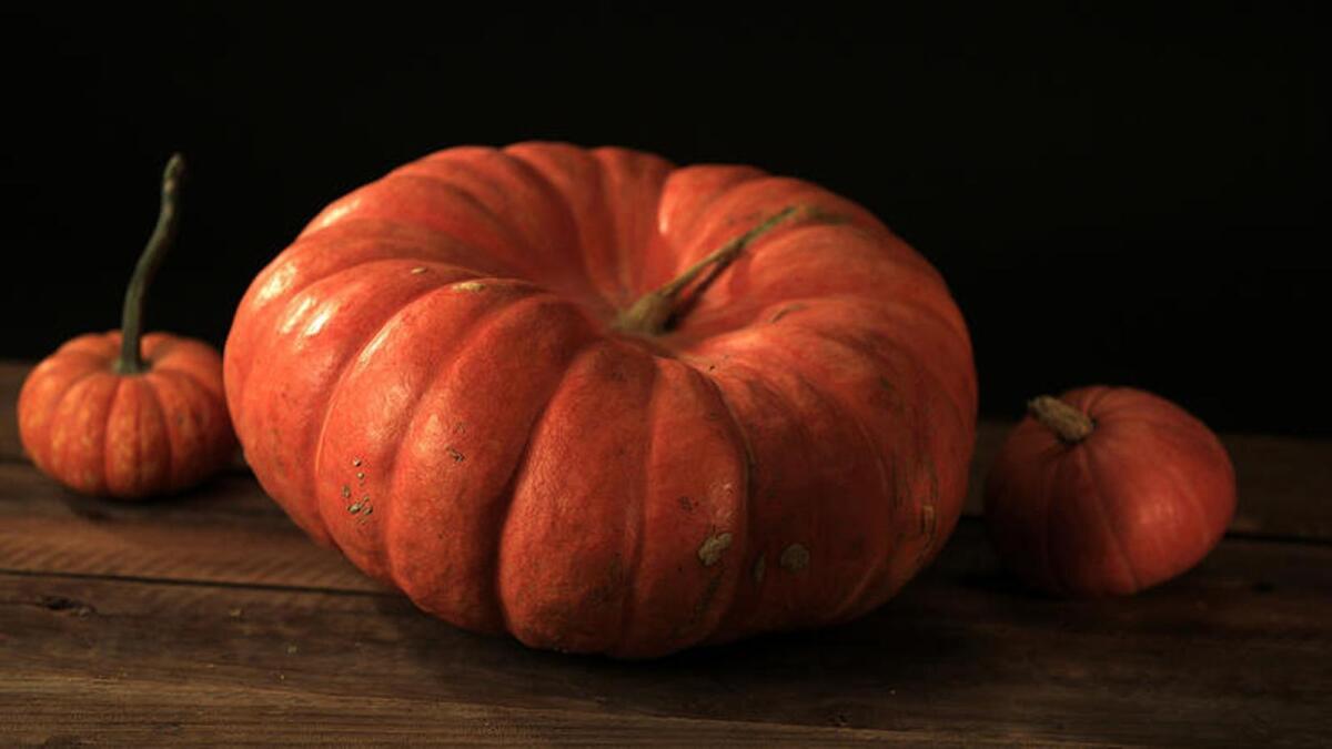 Fairytale pumpkin: An old French variety, the fairytale has a tough outer rind but a relatively small seed cavity, meaning there’s plenty of sweet, creamy meat.