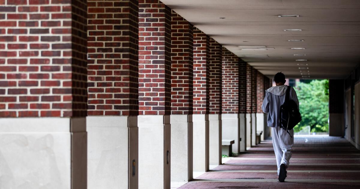 Ele deixou a América para um estágio. A proibição de viagens de Trump tornou impossível o regresso Ele deixou a América para um estágio. A proibição de viagens de Trump tornou impossível o regresso