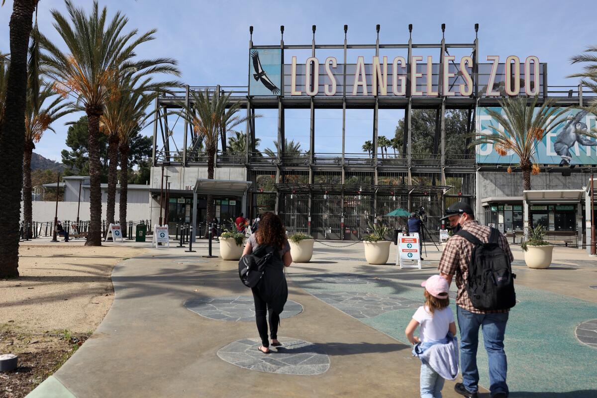People enter the Los Angeles Zoo
