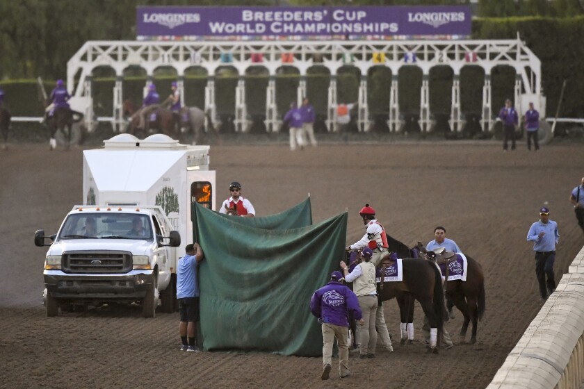 Racing Last Race Turns Bad For Breeders Cup Los Angeles