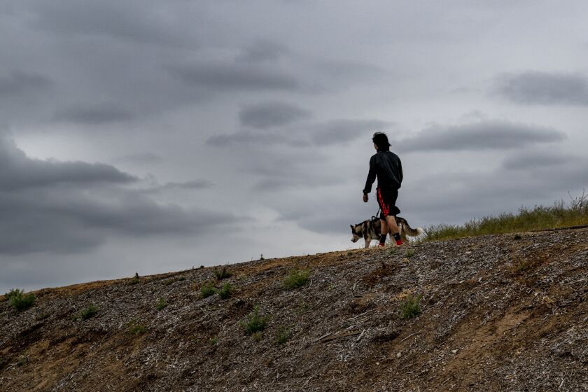 RIVERSIDE, CA - MAY 31, 2023: Under a ceiling of dark and ominous clouds, a resident walks his dog on the dirt trial at Hidden Valley Wildlife Area on May 31, 2023 in Riverside, California. The unusual overcast and chilly weather will continue until the end of the week in the Southland. Many residents are concerned about the future effects of global warming on California's environment and weather fluctuations it may be causing.(Gina Ferazzi / Los Angeles Times)