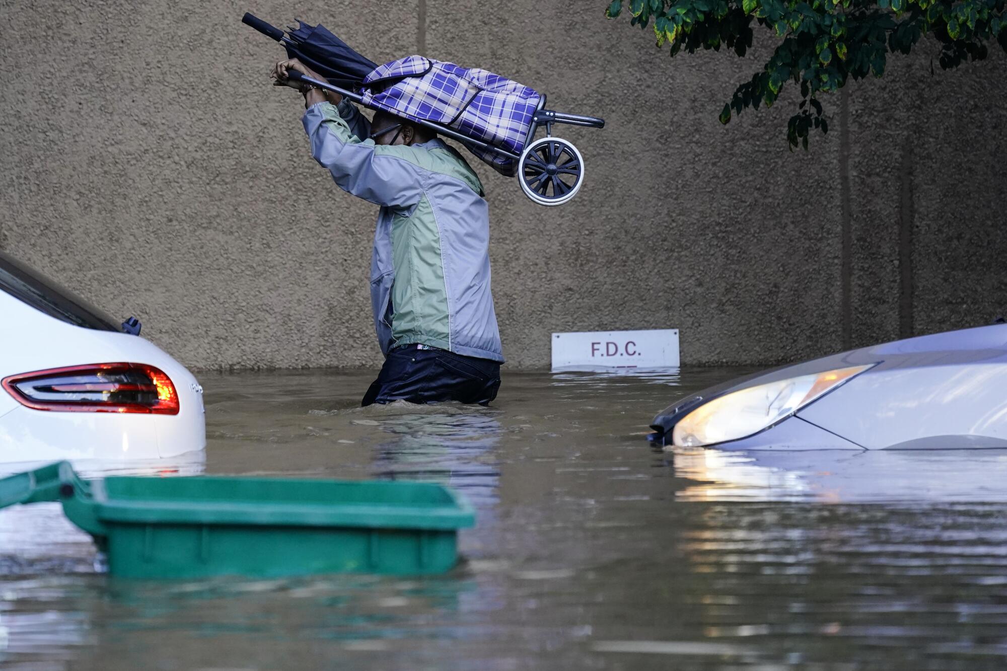 A person holds a bag over their head as they walk through waist-deep floodwater.