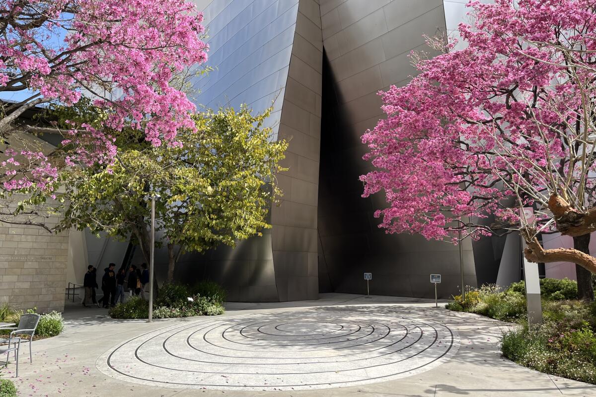 The Disney Hall Blue Ribbon Garden Labyrinth, with purple-flowering trees on either side.
