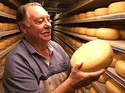 Jules Wesselink inspects a wheel of the old-fashioned Gouda he makes in Winchester. Even in the Netherlands authentic Gouda is now rare.