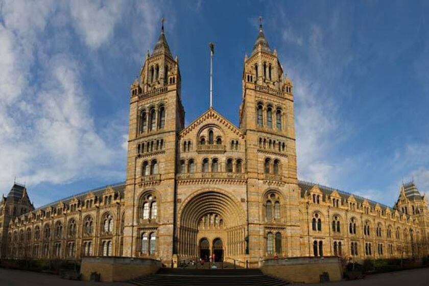 London's Natural History Museum in London has a dinosaur exhibit that the writer's youngsters enjoyed.