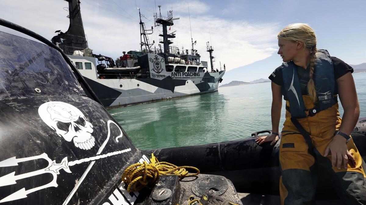 Sea Shepherd activists work to remove gill nets from a protected area in the Gulf of California, which is the habitat of the highly endangered vaquita porpoise.