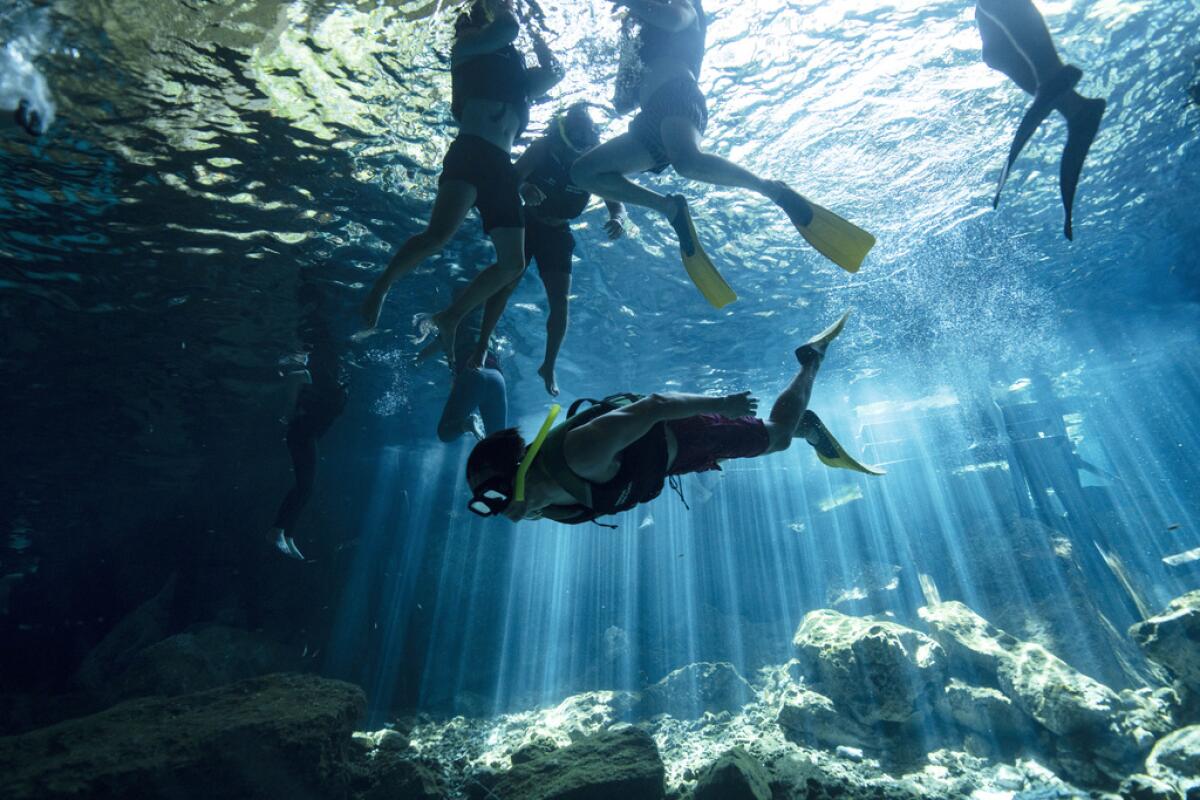 Turistas nadan en el cenote "Dos Ojos",