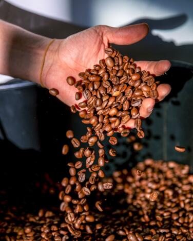 A hand releases a stream of roasted coffee beans