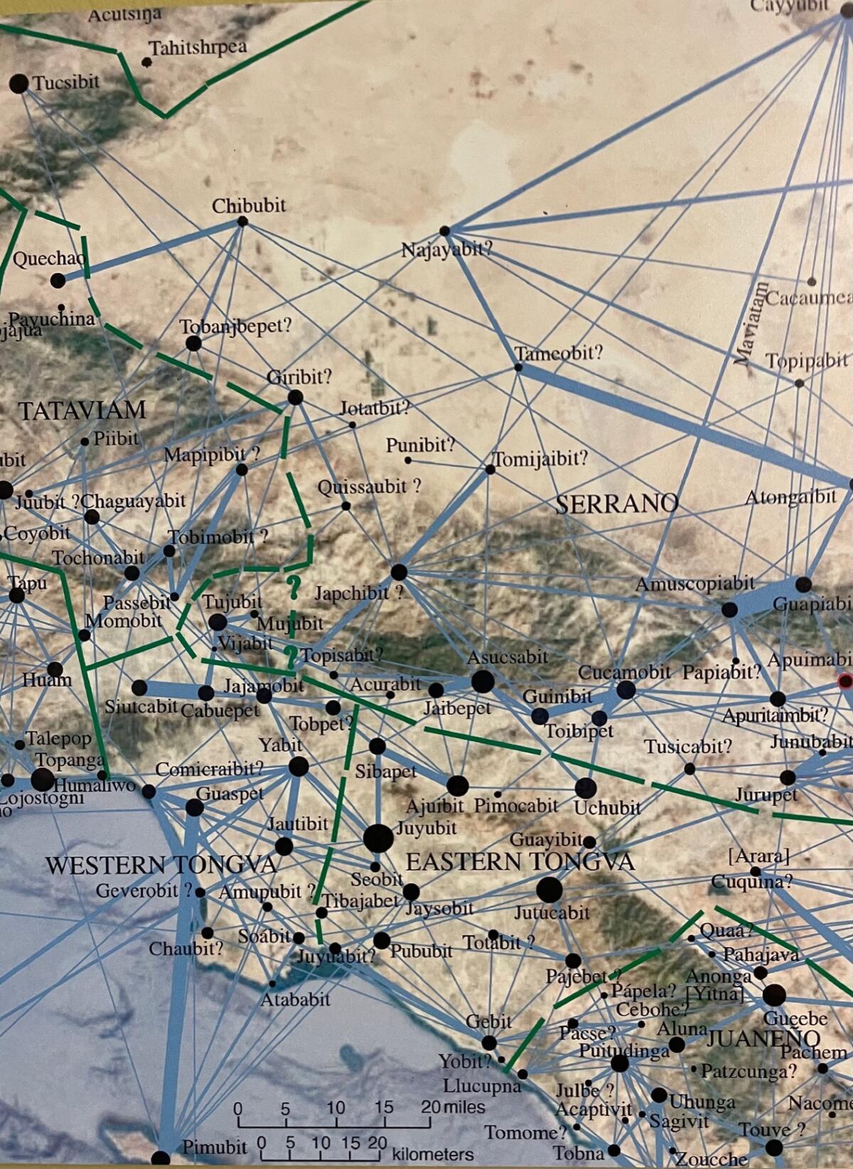 A photo of a Kinship Map created by archaeologist Chester King.