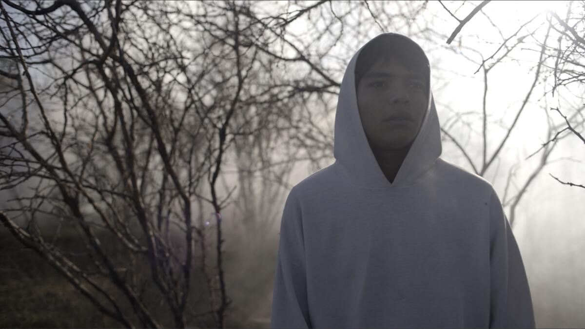 A young man wears a hoodie in a misty forest.