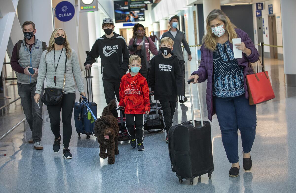 Travelers at an airport with masks on, luggage and a dog