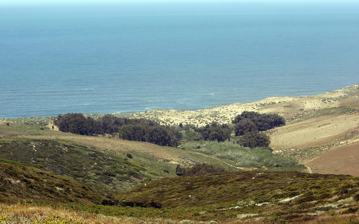 A view of the coast north of Vandenberg Air Force Base. Three nearby beaches have been closed until Sunday afternoon after a non-fatal shark attack Thursday night.