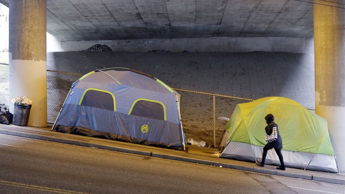 A pedestrian walks past tents set up beneath a highway overpass adjacent to downtown Seattle.