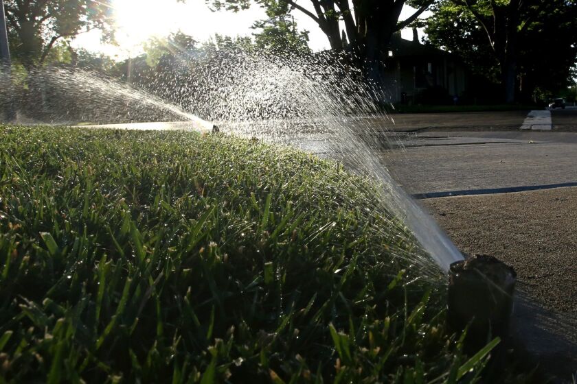 A lawn in Sacramento, Calif. is irrigated on May 27. California's drought-stricken cities set a record for water conservation, reducing usage 29 percent in May, according to data released by a state agency Wednesday, July 1.