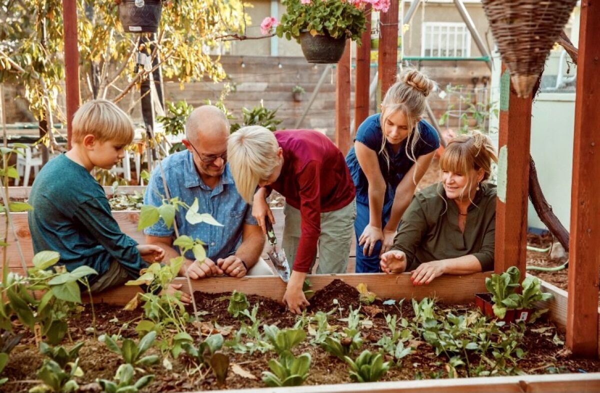 The Syren family at work in their garden, which they says is a classroom for their kids.