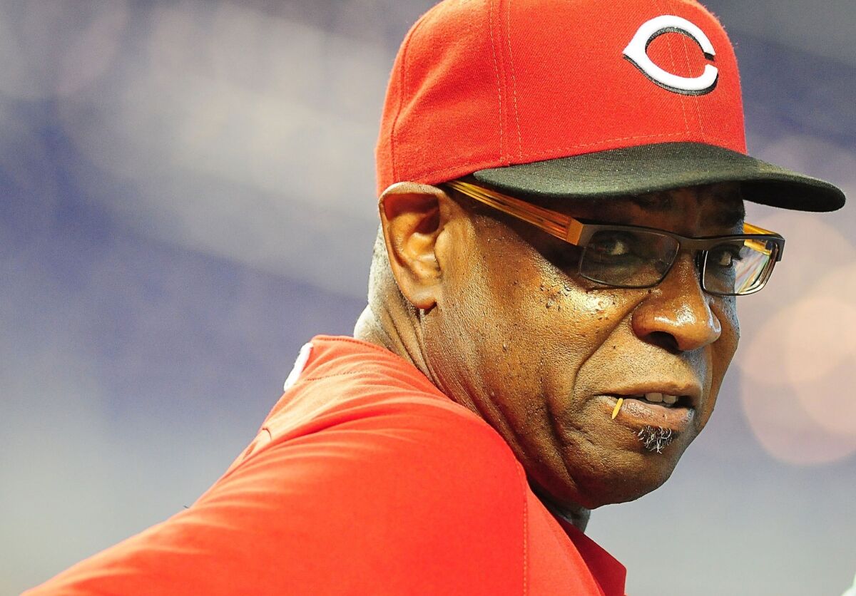 Dusty Baker won't return as Cincinnati Reds manager, report says - Los  Angeles Times