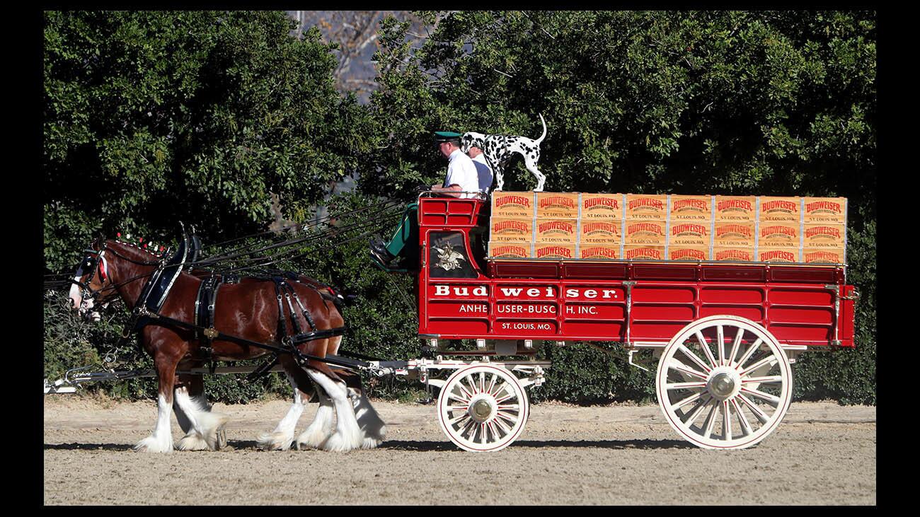 Photo Gallery: 29th annual Equestfest held at L.A. Equestrian Center in Burbank