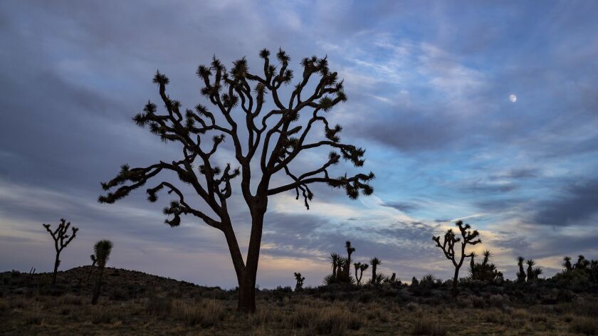 The package adds acreage to Joshua Tree National Park.