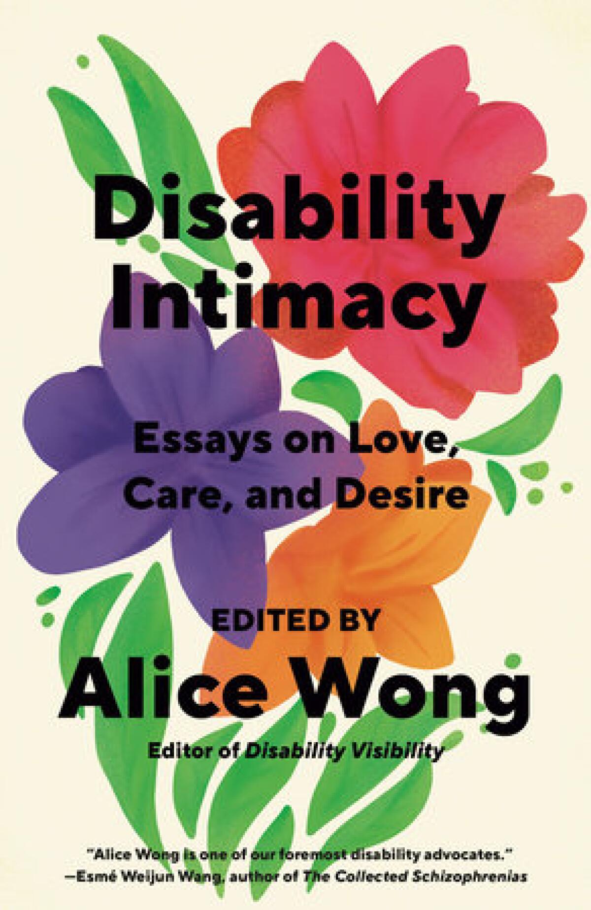 The cover of "Disability Intimacy"