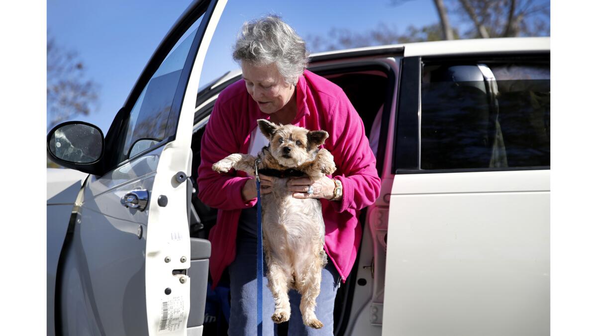 Russell, with Chole, said there was no way she could give up her dogs. They're all she's got.