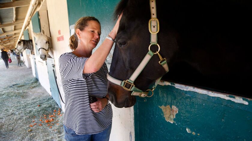 Laurie Rouse from Fallbrook evacuated her two horses, gray Arabian mare Dulcinea and brown Quarter Horse mare Sadie, to the Del Mar Fairgrounds from Fallbrook on Thursday during the Lilac Fire. Rouse describes that day as "probably the scariest day of my life."